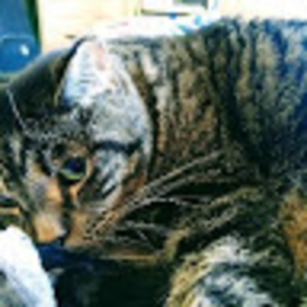 Meet your Posher, Kimberley